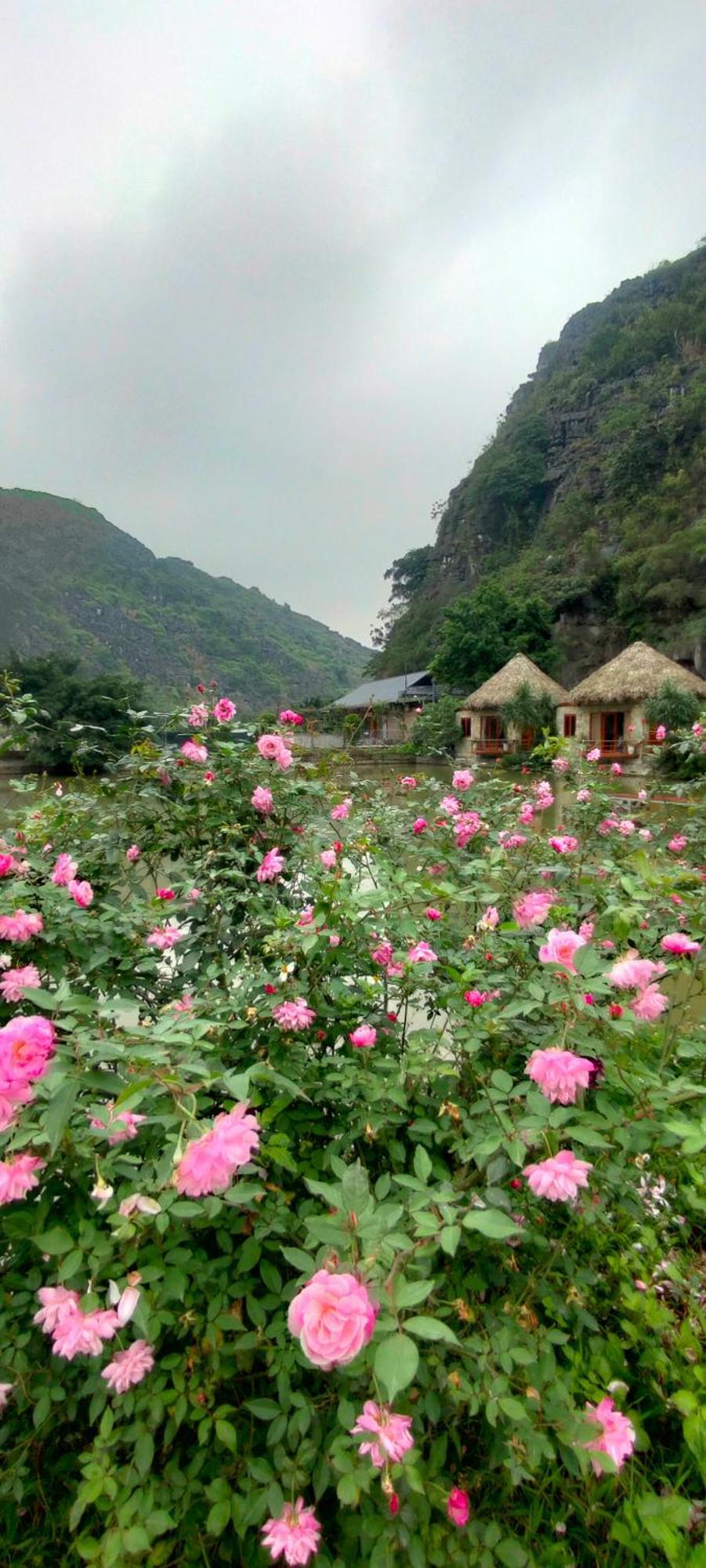 Hang Mua Eco Garden Xuan Son Eksteriør billede