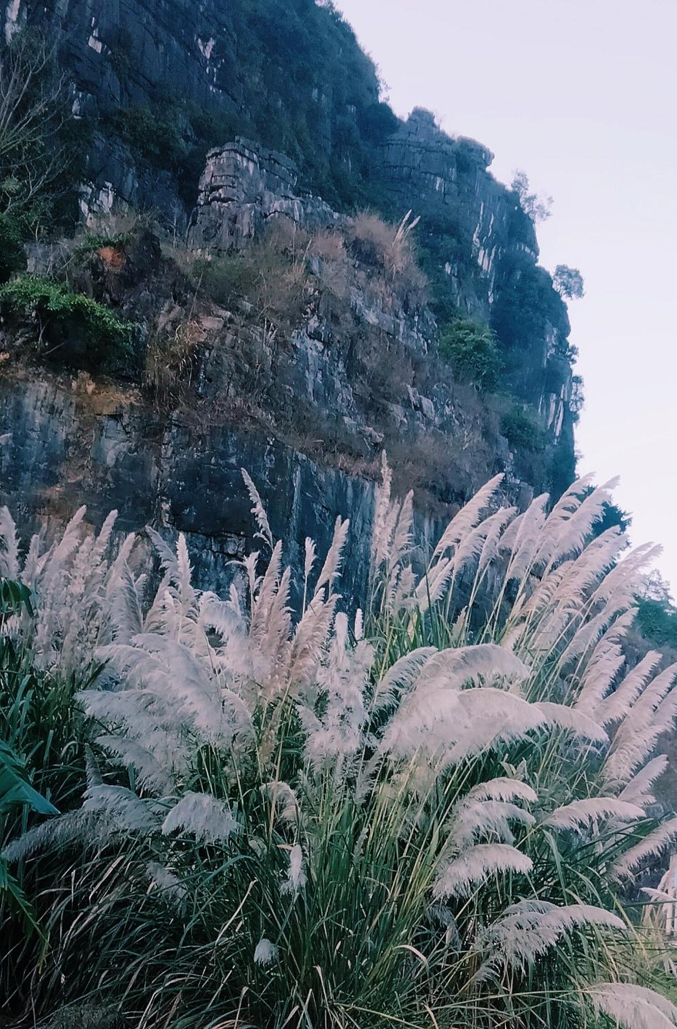 Hang Mua Eco Garden Xuan Son Eksteriør billede