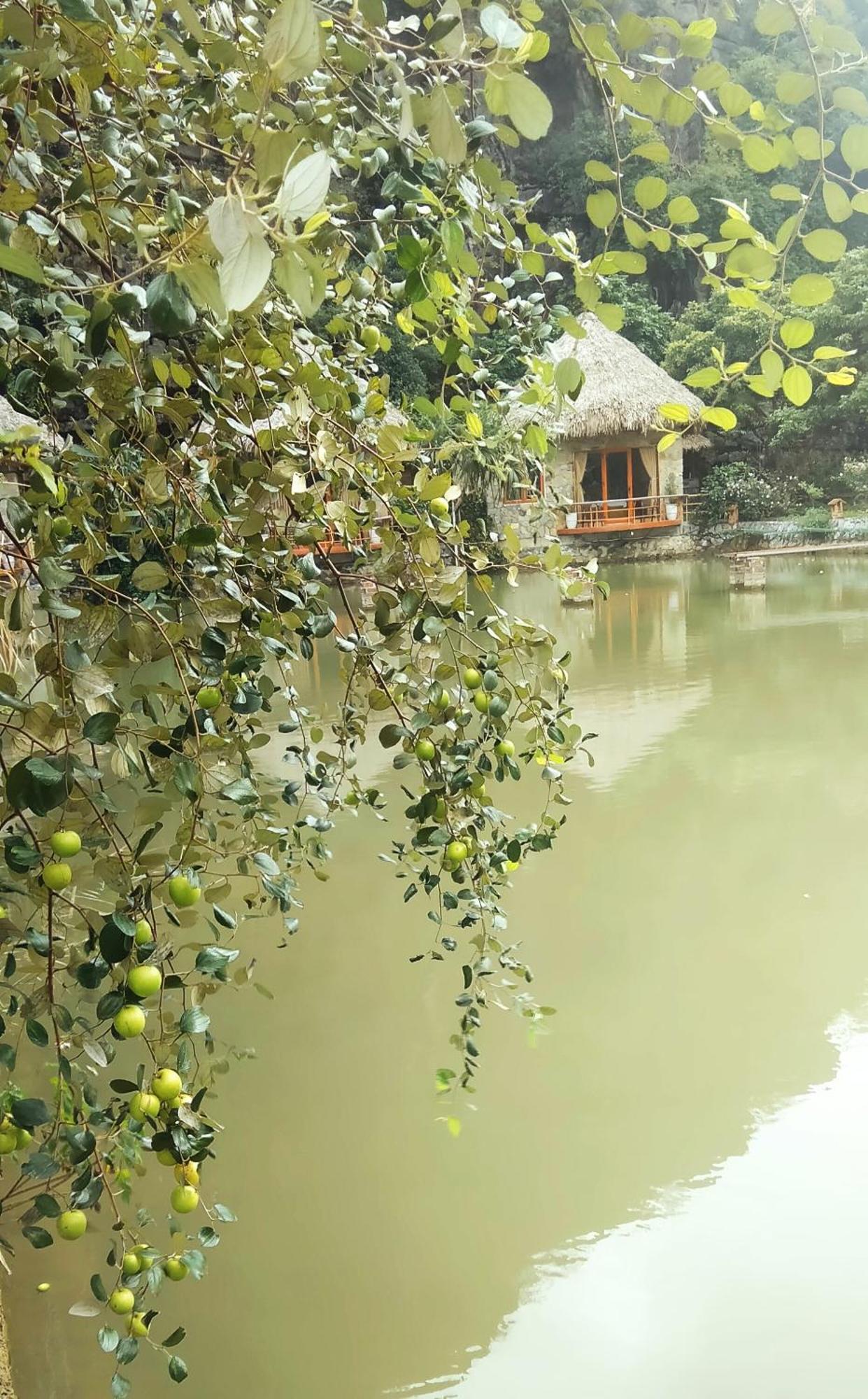 Hang Mua Eco Garden Xuan Son Eksteriør billede